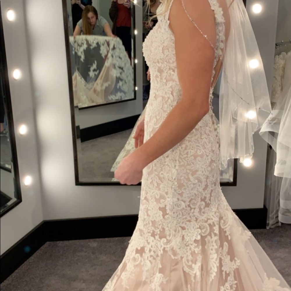 Beautiful wedding dress, champagne underneath with lace and sparkle overlay. - Picture 7 of 12